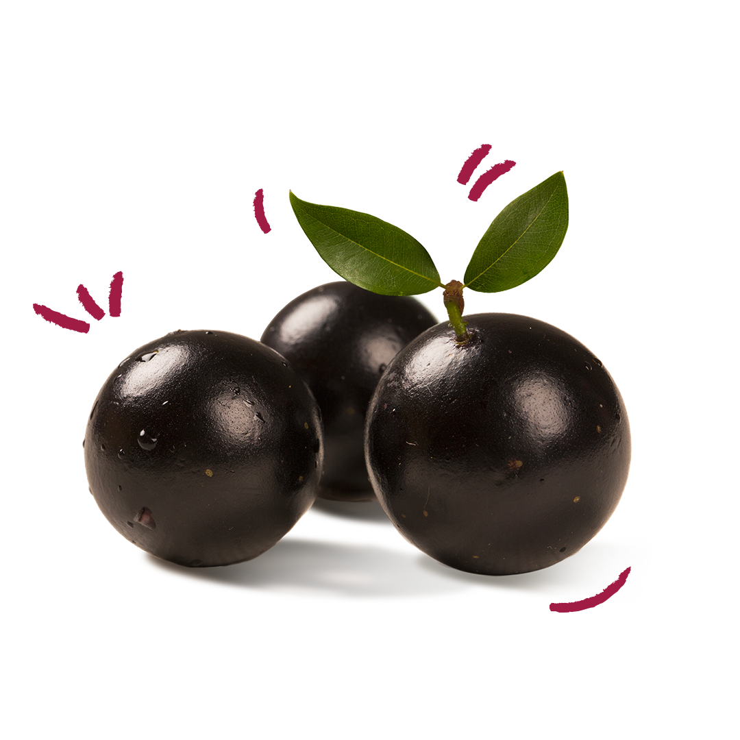 Jabuticaba berries